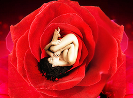 ���������䷻���H����Ƽ����޹�˾