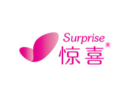 �V�ݱ����Q(m��o)�����޹�˾