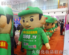 ��ݰ���Ě�ģ������