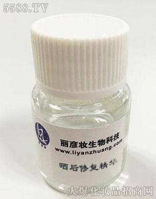 ����ޏ;��A