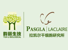 �V�����������Ƽ����޹�˾