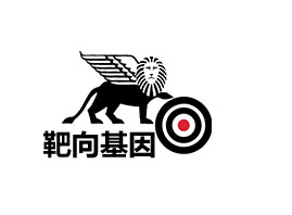 ���ڰ�������g���޹�˾