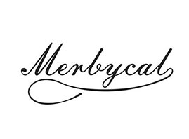 ������ؐ������Ƽ����޹�˾