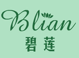 �V�ݱ�ɏ����Ƽ����޹�˾