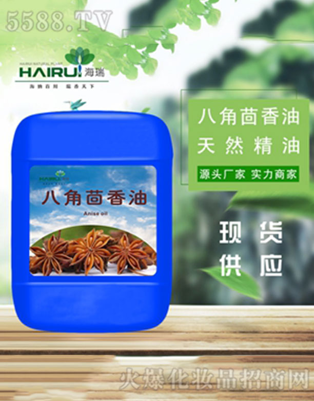 ����˽�������