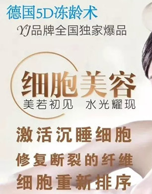 �۲�5D���g�g(sh��)2��ɆT