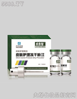 �g(sh��)̩��Ƥ�w�o����ɷ�II