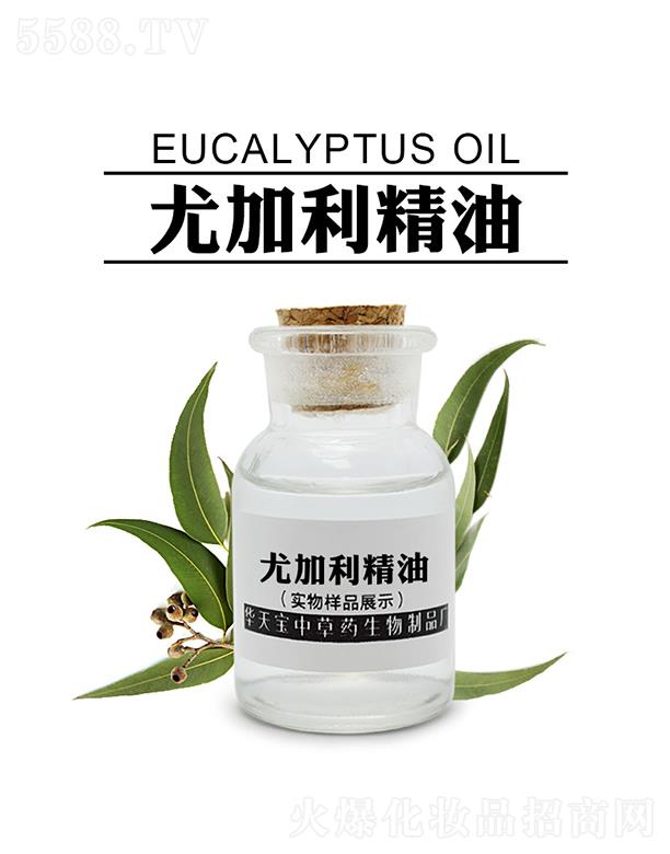 �A�쌚�ȼ�������