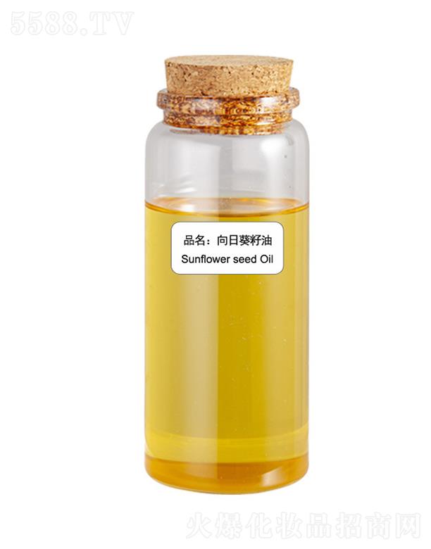 ɭ�����տ�����