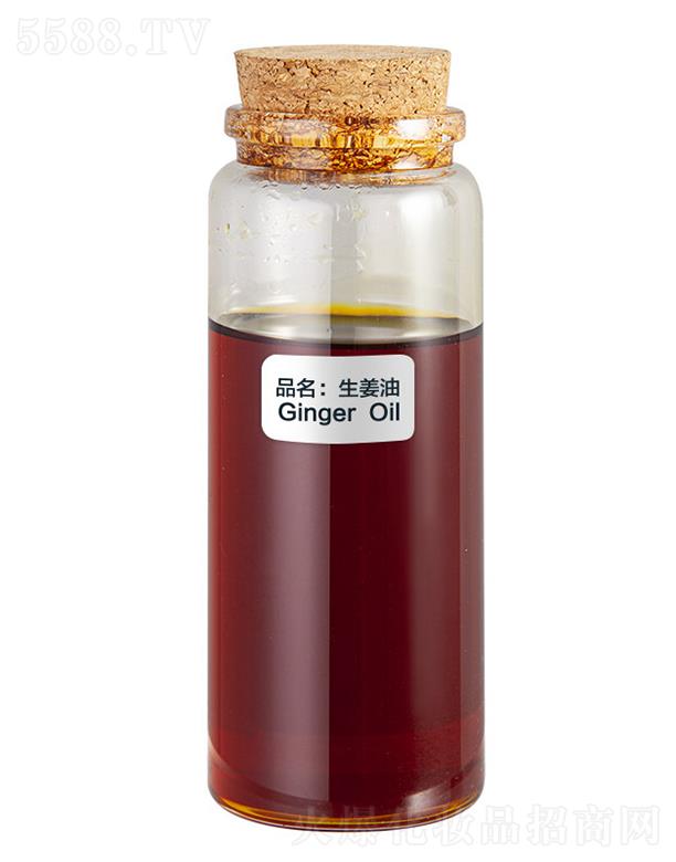 ɭ��������