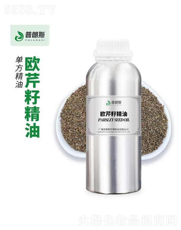 ����˹�W���Ѿ���