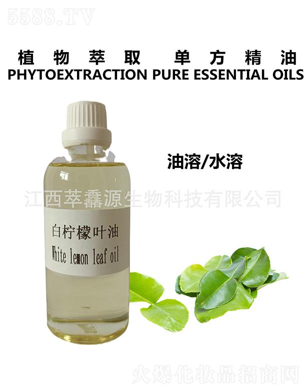 ���QԴ�י����~��