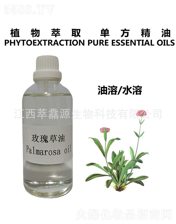 ���QԴõ�����