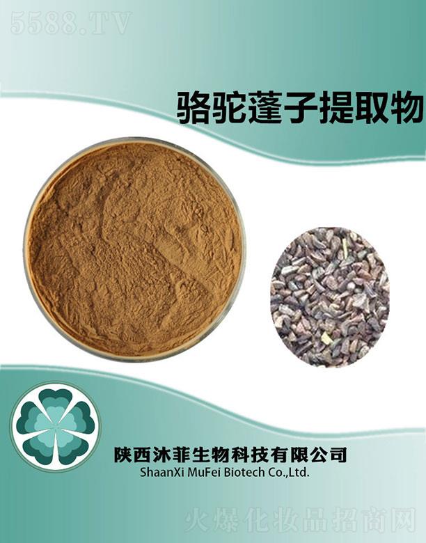 �����������ȡ��