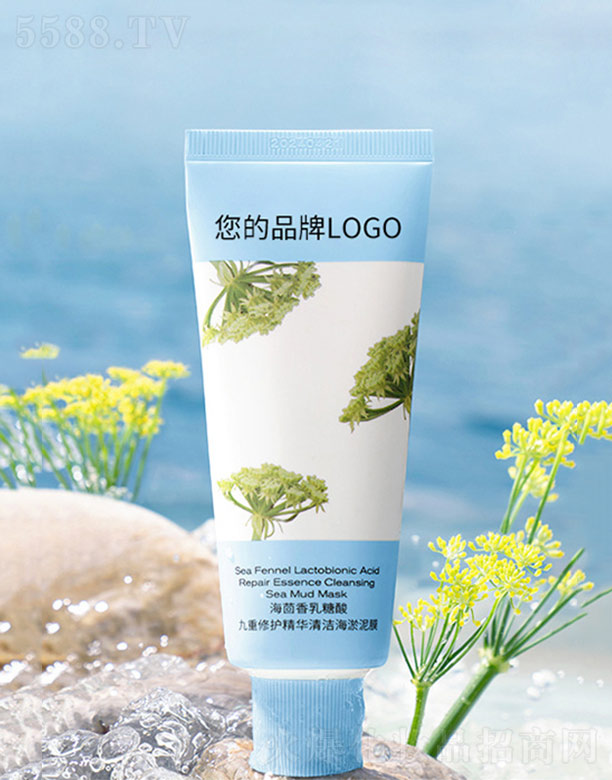 ������������������o���A�坍������Ĥ