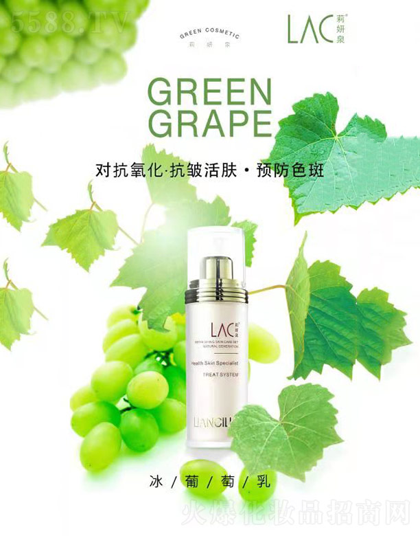 ����Ȫ��������