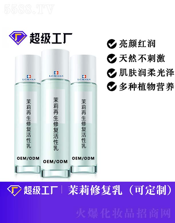 ���������ޏ�(f��)������OEM/ODM