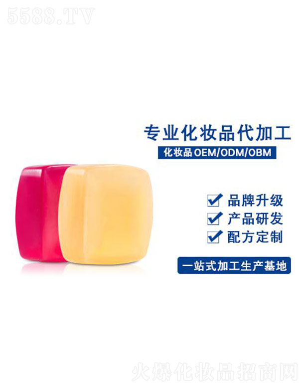 �ξ�������OEM�ӹ�