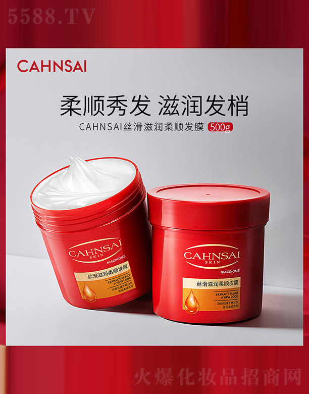 CAHNSAI�z���̝���혰l(f��)Ĥ 500g