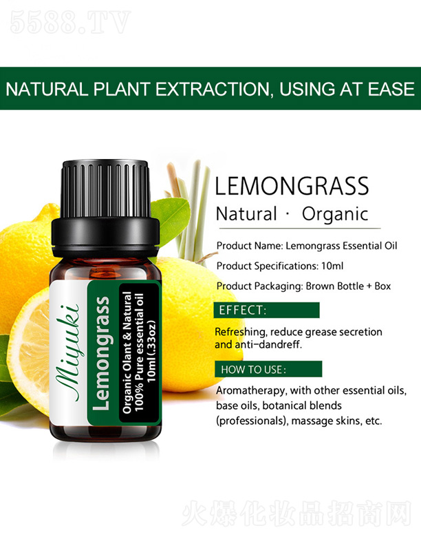 ���ʲ݆η�����