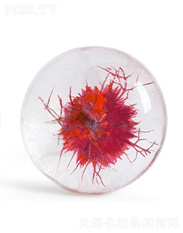 LIYALAN�tɫ�ڷN�ݰ�����͸�������� 80g