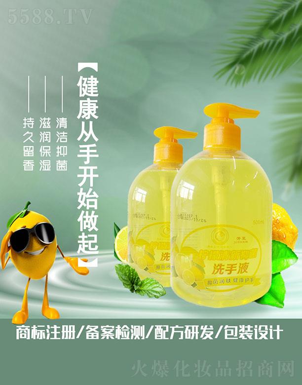 �������������־�ϴ��Һ 500ml