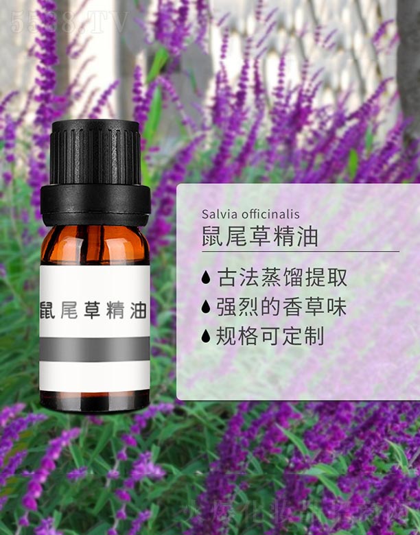 ��β�ݾ���