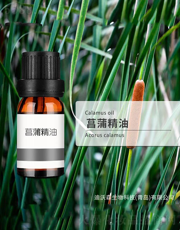 ���Ѿ���