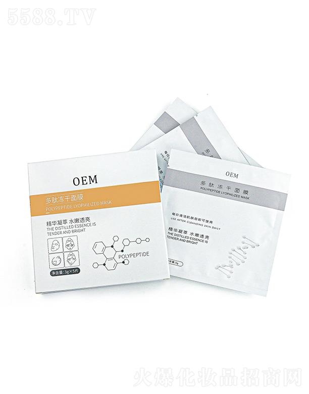 �V���{(l��n)��������ă�����Ĥ ��ҹ���м��ķ��t�̑B(t��i)���A��Ĥ