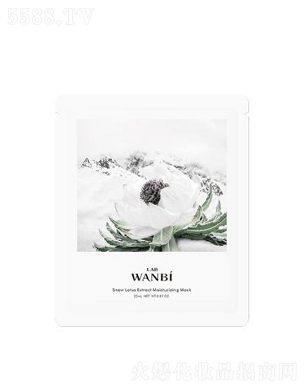 丸碧雪蓮萃取水潤(rùn)美肌面膜 25ml*5肌膚嫩亮無瑕水潤(rùn)欲滴