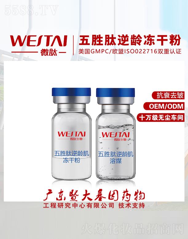 ΢����������g���ɷ� ��˥ȥ��