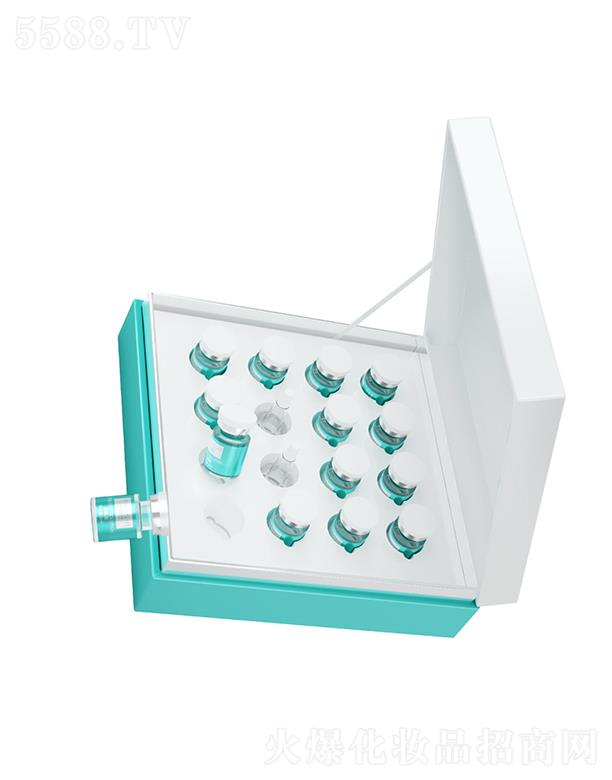 �t(y��)�����{(l��n)�~�����w�� ���oƤ�w����