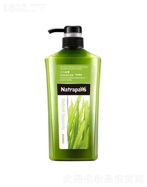 18本洗發(fā)水-控油去屑 650ml清潔發(fā)梢及發(fā)根