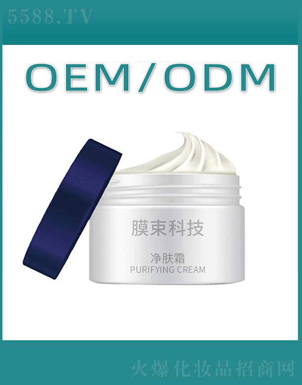 Ĥ���Ƽ����w˪