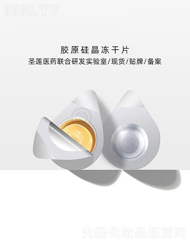 �V��ʥɏ  ʥɏ�����zԭ�辧����Ƭ   ���w���o(h��)