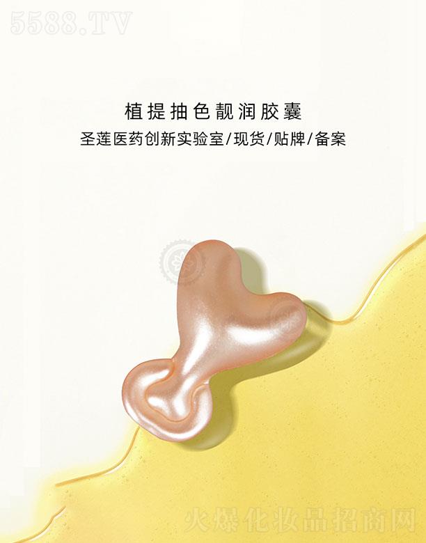 �V��ʥɏ  ʥɏֲ���ɫ�n��(r��n)�z��   �����wɫ