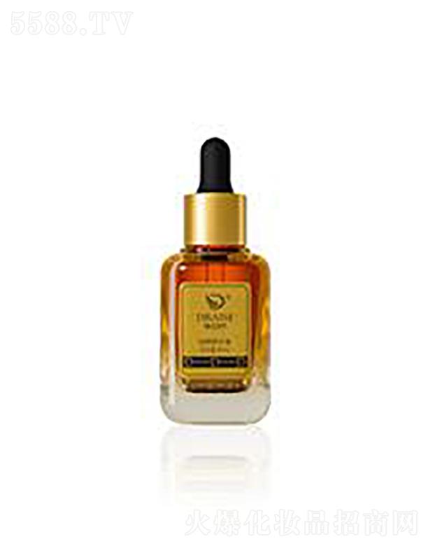 �찺�z����A��