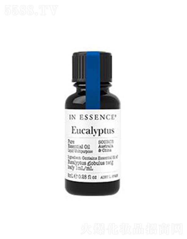 IN ESSENCE�{�z�ȼ����η�����