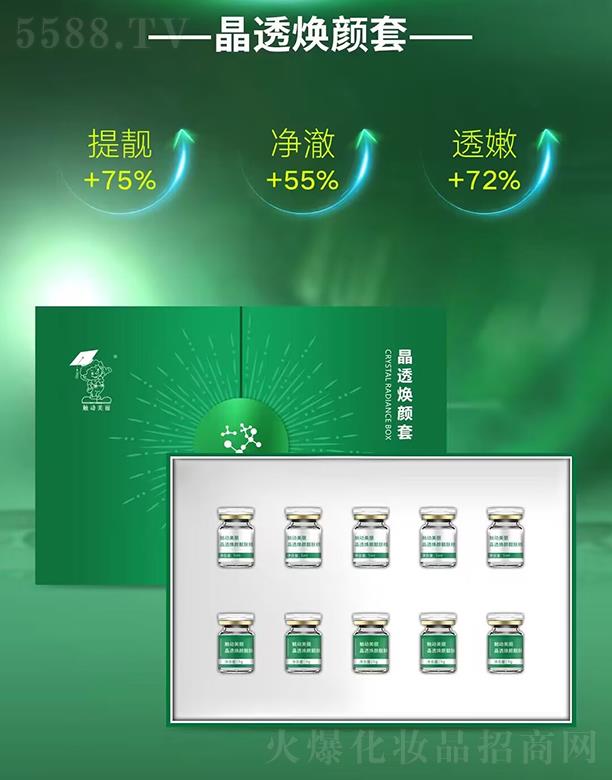 �|��������͸�����