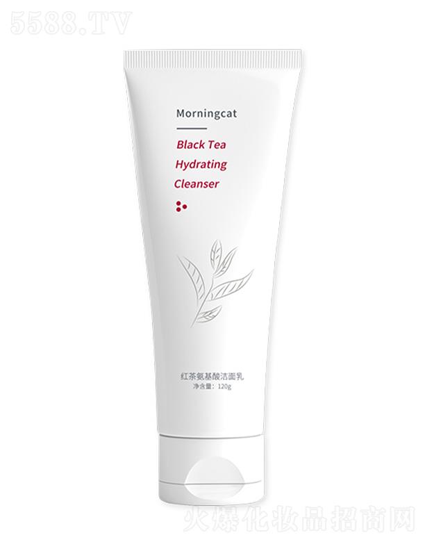 Ԫ?d��)�؈�t�谱���ᝍ����