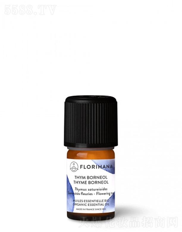 ���X�����㾫��