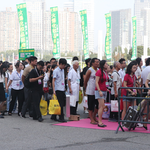 2019�������I(y��)���[�����𱬾W(w��ng)�F(tu��n)�����������