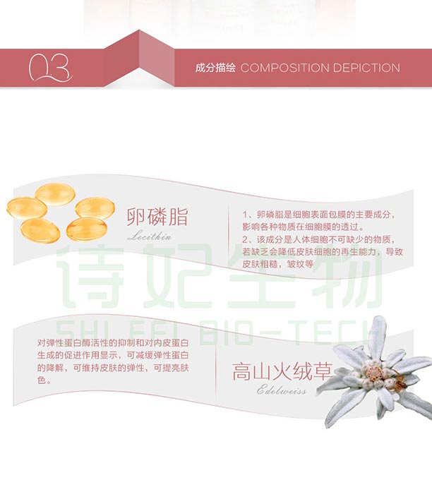 ����֬���B(y��ng)���oϵ�У��o�w���b��