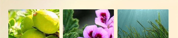 �wʿ�_��Ч���o(h��)�澏���AҺ