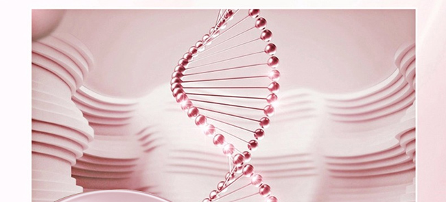 海之曼氣墊CC霜 海之曼氣墊CC霜