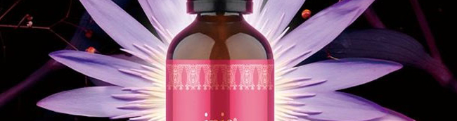 �����_(d��)��侫��