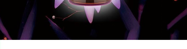 �����_(d��)��侫��