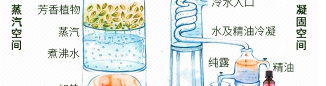 �����_(d��)��侫��