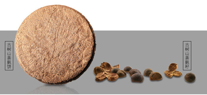 茶氏家族-山茶籽調(diào)理精油 茶氏家族-山茶籽調(diào)理精油