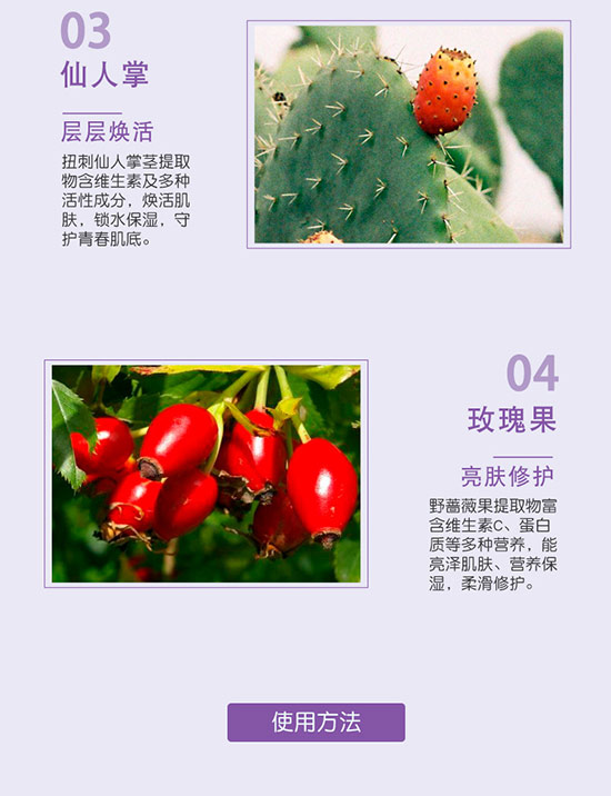 �S�c�ʗ�ѩɏ����͸�������